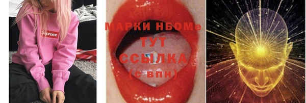 шишки Баксан