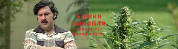 шишки Баксан