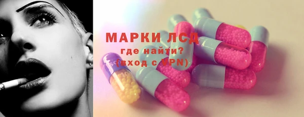 шишки Баксан