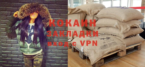 шишки Баксан
