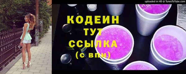 шишки Баксан