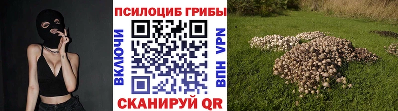 Галлюциногенные грибы Cubensis  продажа наркотиков  Новоузенск 